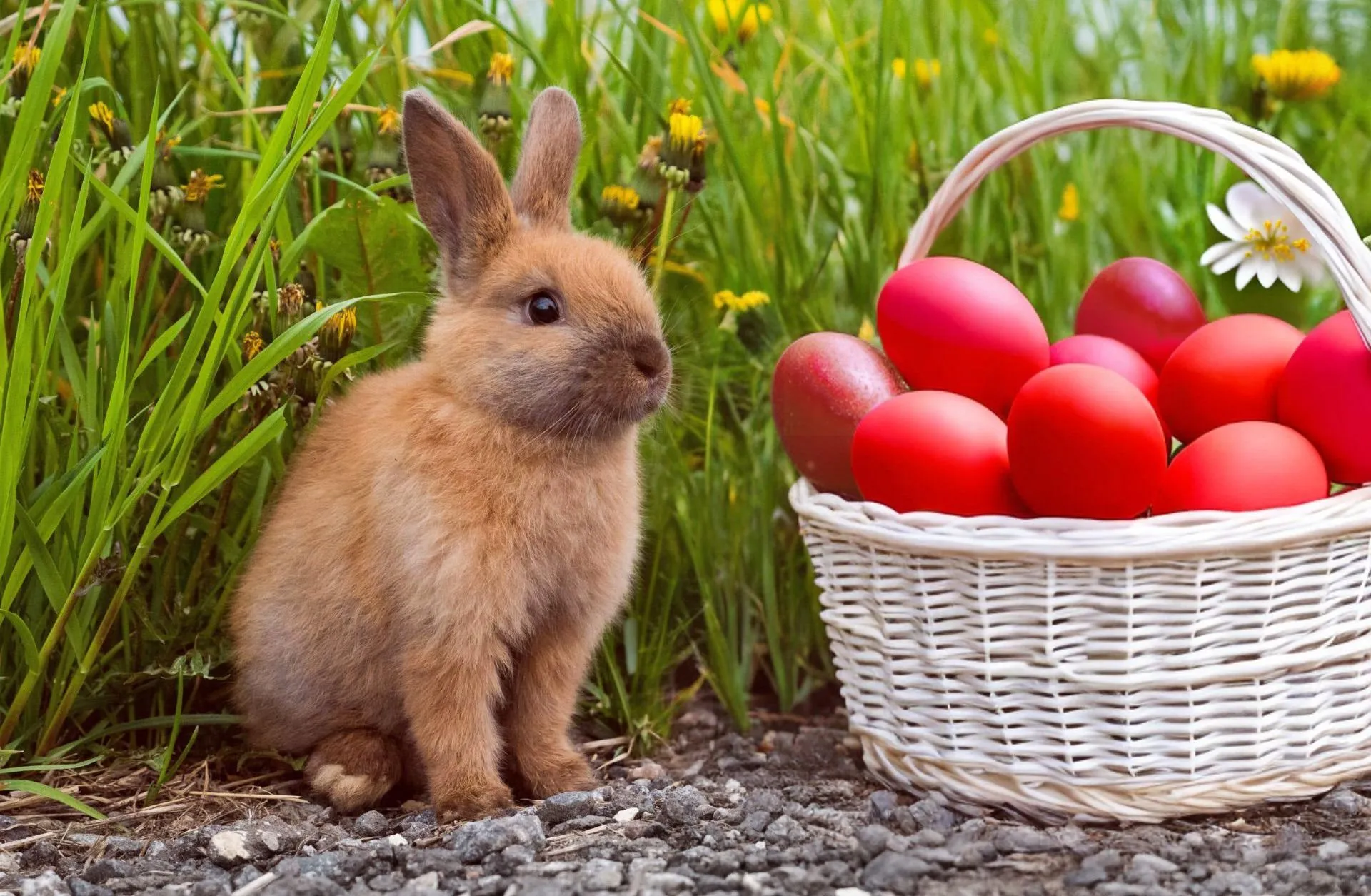 Novinky na MBPK - 1. dubna - cover