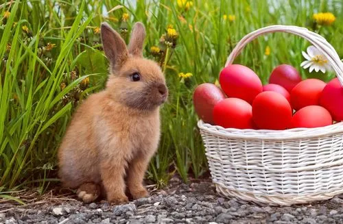 Novinky na MBPK - 1. dubna - cover